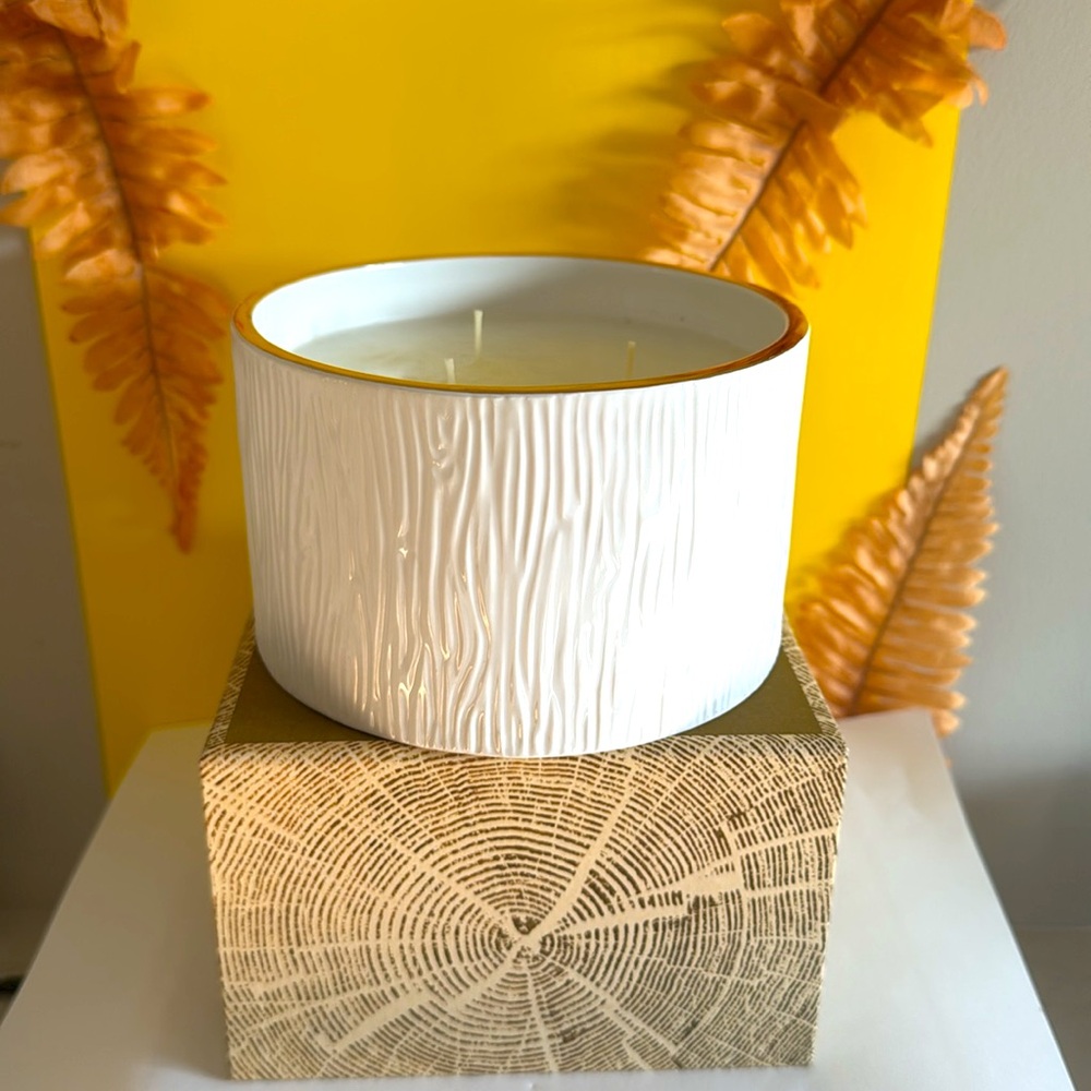 Thymes Frasier Fir Candle 3 wick 20 oz - Picture 6 of 9
